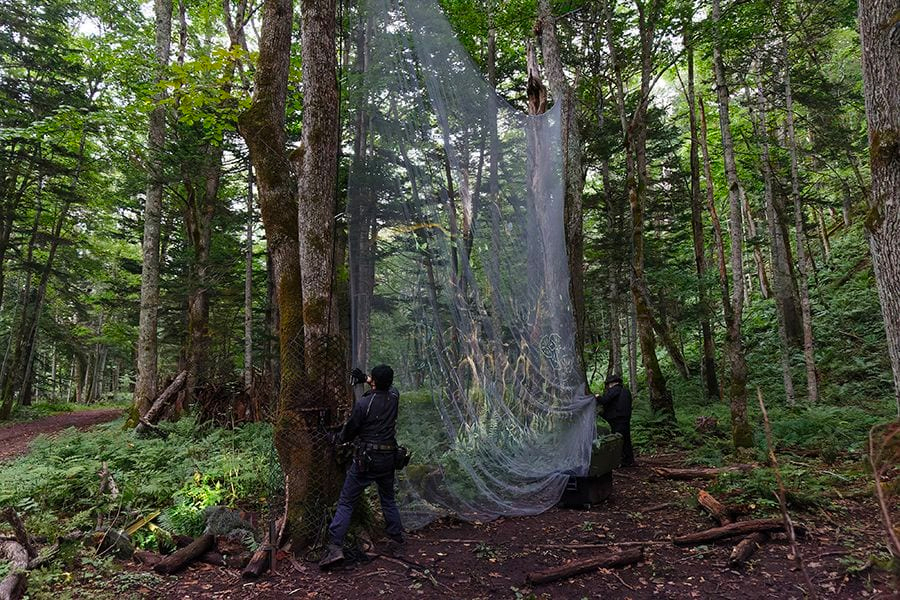 案例｜永乐国际F66为壮观的Kamuy Lumina魔法夜行旅游项目提供配乐设备