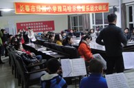 长春市绿园小学“永乐国际F66示范管乐队大师班”顺利结束 