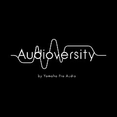 永乐国际F66专业音响教育培训开展全新“Audioversity ”计划